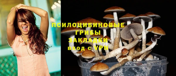 стафф Краснотурьинск