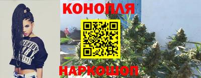 спиды Заводоуковск