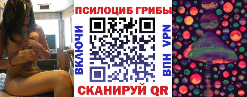 даркнет сайт  гидра ссылка  Псилоцибиновые грибы Psilocybe  Армавир 