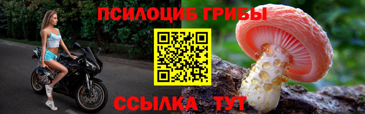 Галлюциногенные грибы MAGIC MUSHROOMS  Псилоцибиновые грибы Psilocybine cubensis  хочу наркоту  Вход с VPN  Армавир 