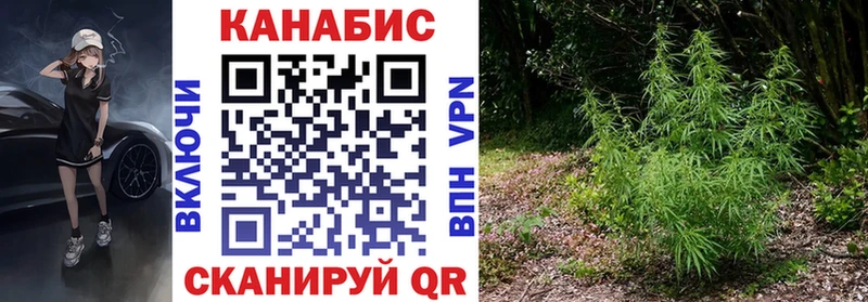 Каннабис марихуана  KRAKEN как войти  Армавир 